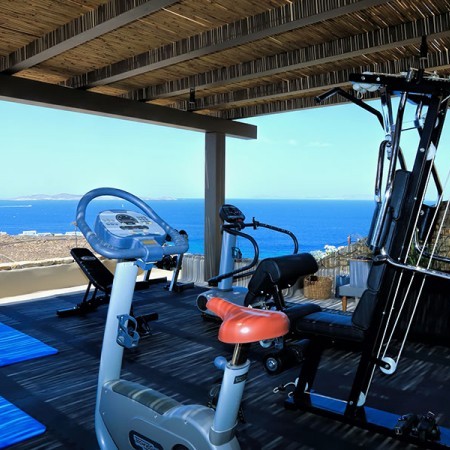 mykonos villa rental with gym