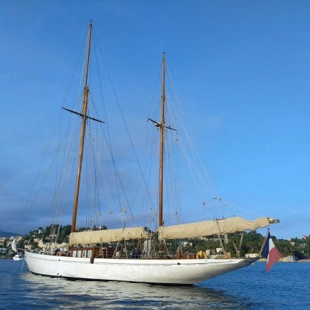 Black Swan sailing yacht